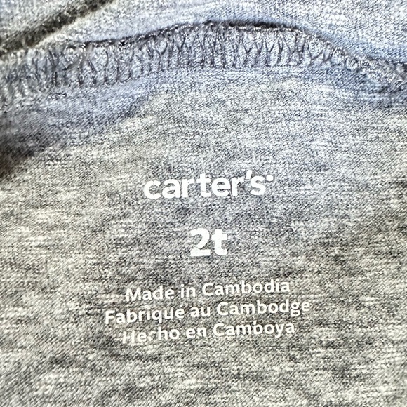 Carter’s Boys Dinosaur Hooded Long Sleeve Tee Shirt 2T - Picture 5 of 5